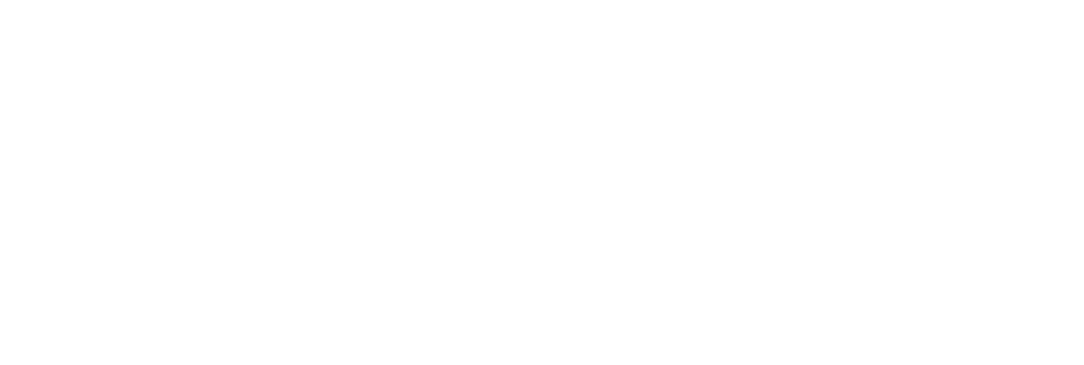 leap+